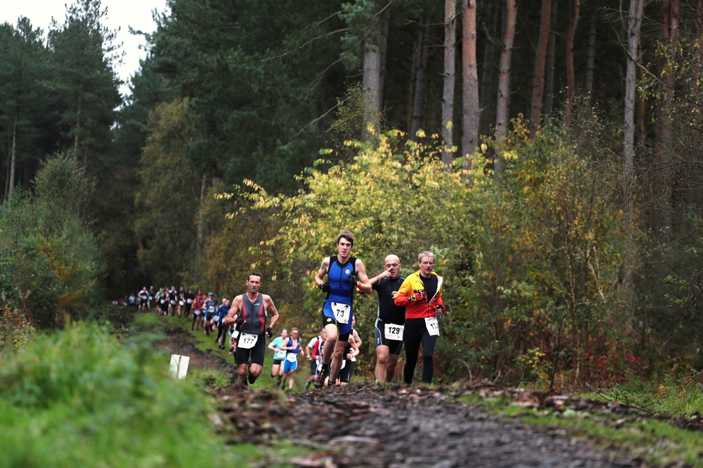 Clumber OF 14 - Image