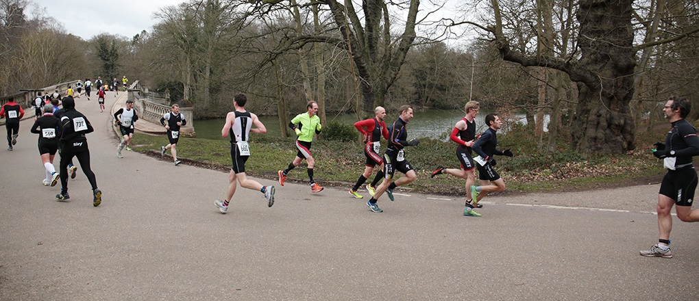 Clumber 15 - Image
